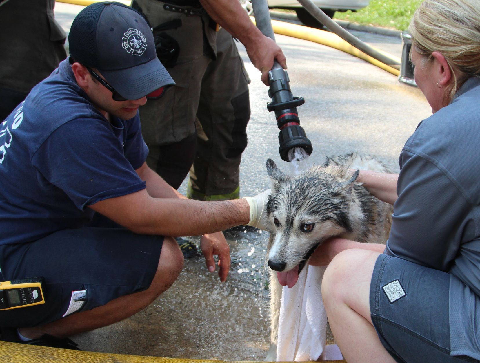 070521jr-fire-dog-1